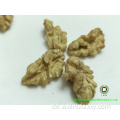 Kinderbetragsnack chinesische Walnuss -Walnuss -Kerne von Kindern